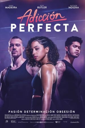 Adicción Perfecta