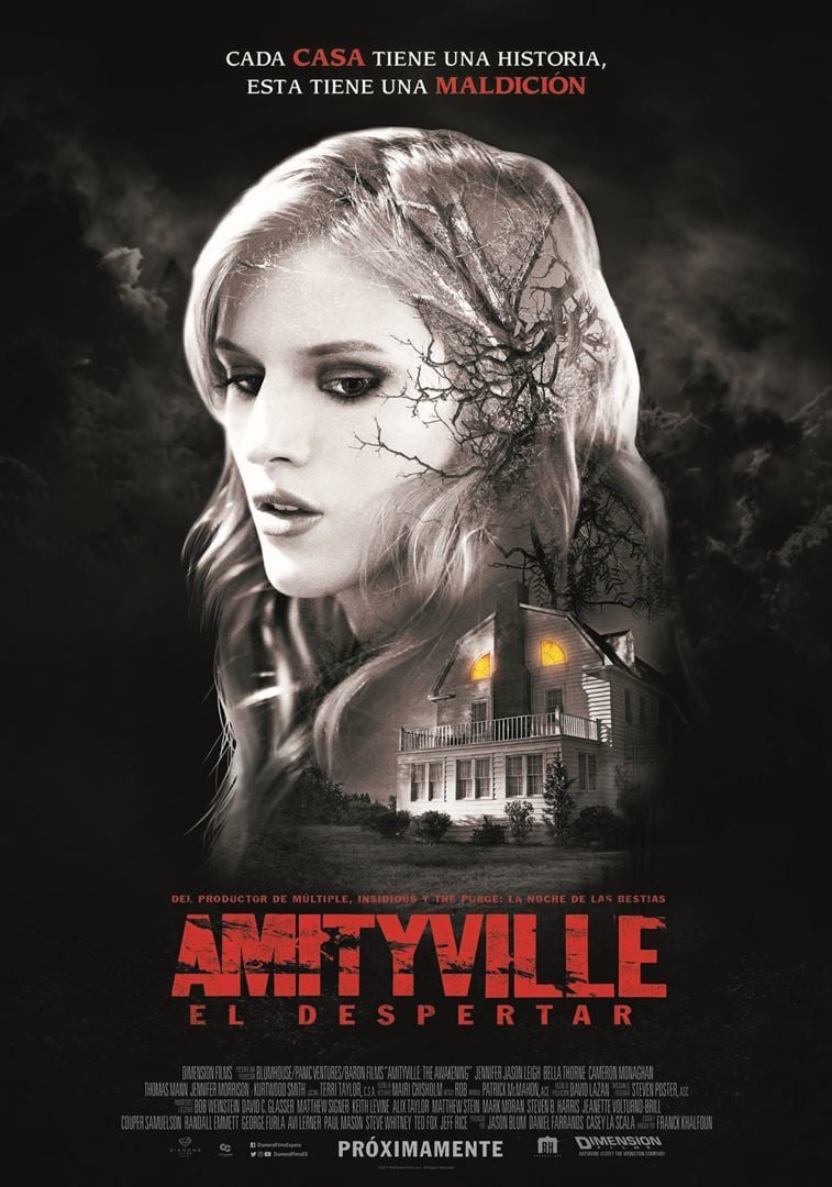 Amityville The Awakening