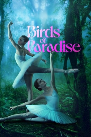 Aves Del Paraíso