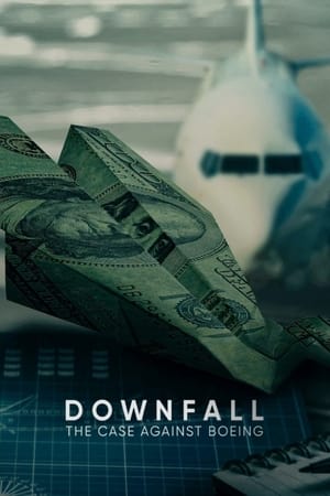 Caída En Picado: El Caso Contra Boeing
