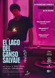 El Lago Del Ganso Salvaje