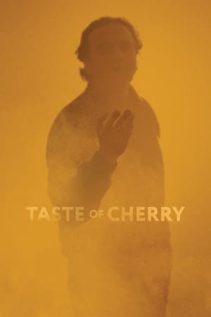 El Sabor De Las Cerezas
