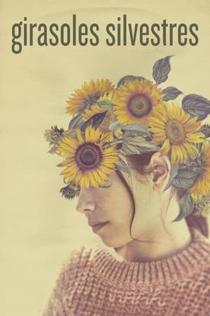 Girasoles Silvestres