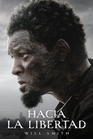 Hacia La Libertad