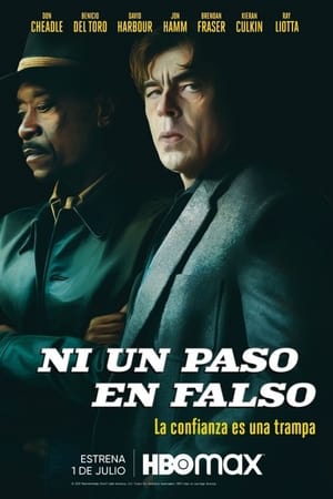 Ni Un Paso En Falso
