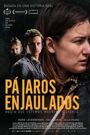 Pájaros Enjaulados (Hasta Que Estemos Muertos O Libres)