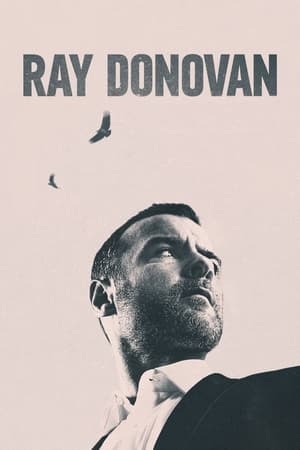 Ray Donovan, La Película