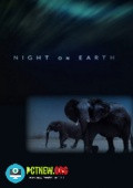 Night On Earth