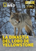 La Dinastia Del Lobo De Yellowstone