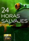 24 Horas Salvajes Temporada 1 [HDTV 1080p][Cap.101 103][AC3 5.1 Castellano][www.descargas2020.com]