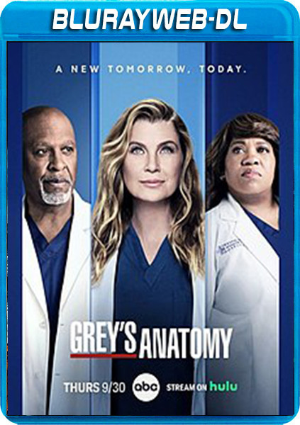 Anatomia De Grey