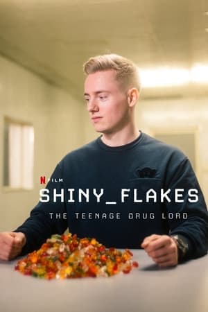 Shiny Flakes: El Cibernarco Adolescente