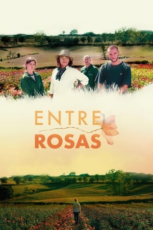 Entre rosas